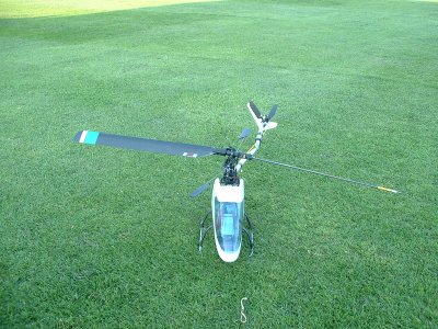 ecocrash1_400.jpg