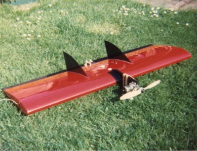 wing1.jpg