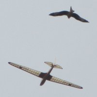 longmyndsep2c_200.jpg