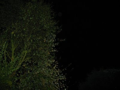 2007perseid1e2_400.jpg