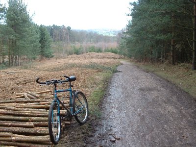 2006cannockchase32_400.jpg