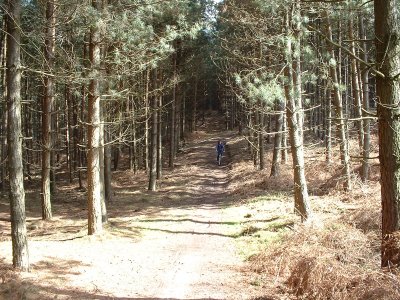 2006cannockchase36_400.jpg