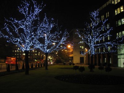 2006londonstpaulstrees1_400.jpg