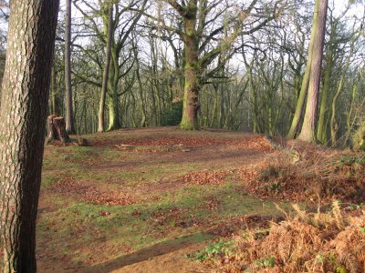 2007badbywoods3_400.jpg