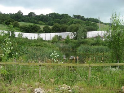2007glastonburyfridaypond1_400.jpg