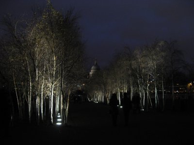 2007londonstpaulstrees8_400.jpg