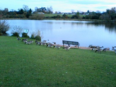 2007stokewoodlake1e400.jpg