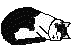 catsleep2.gif