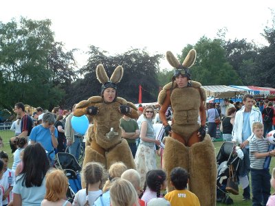 festivalkangaroos1_400.jpg