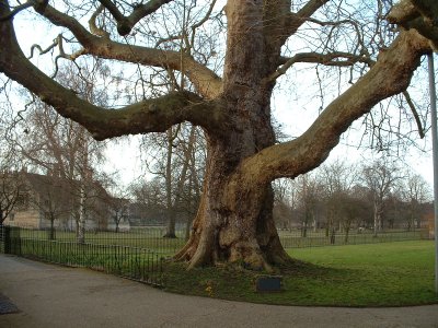 magdalen3_400.jpg