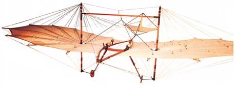 stanfordhallhawk.jpg