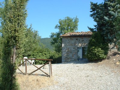 tiorcia_400.jpg