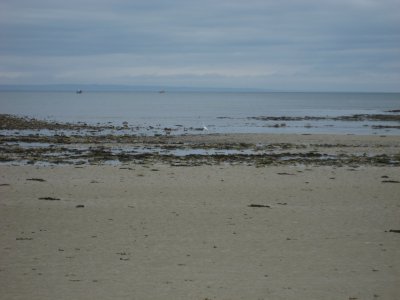 francebarneville_3_400.jpg