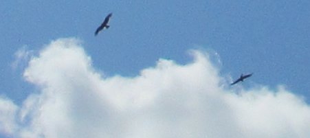 eurotour701c_200.jpg