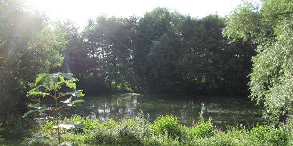 eurotour901c_300.jpg
