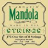 daddariomandolastrings100.jpg