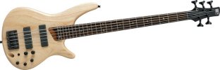 sr605_100.jpg